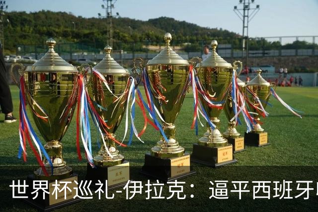 世界杯巡礼-伊拉克：逼平西班牙收获信心，伊拉克雄狮为尊严而战