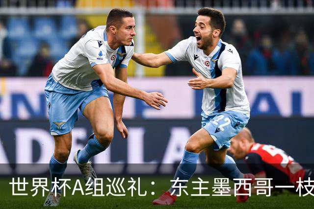 世界杯A组巡礼：东主墨西哥一枝独秀 韩国有望突破历史
