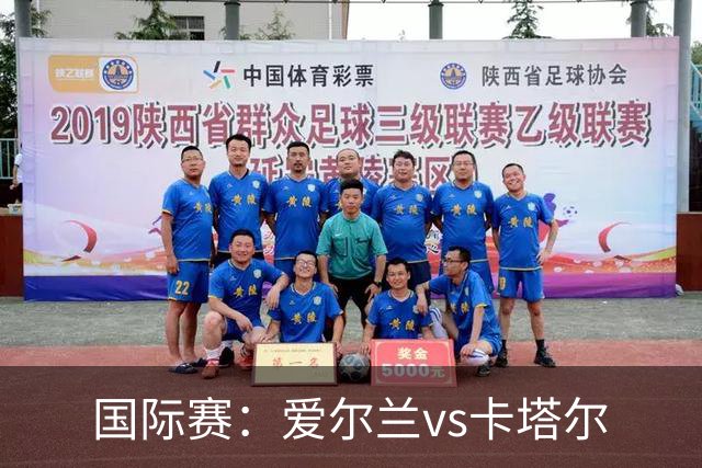 国际赛：爱尔兰vs卡塔尔