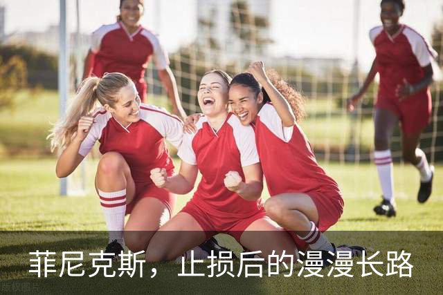 菲尼克斯，止损后的漫漫长路