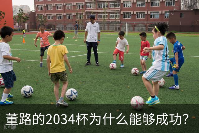 董路的2034杯为什么能够成功？