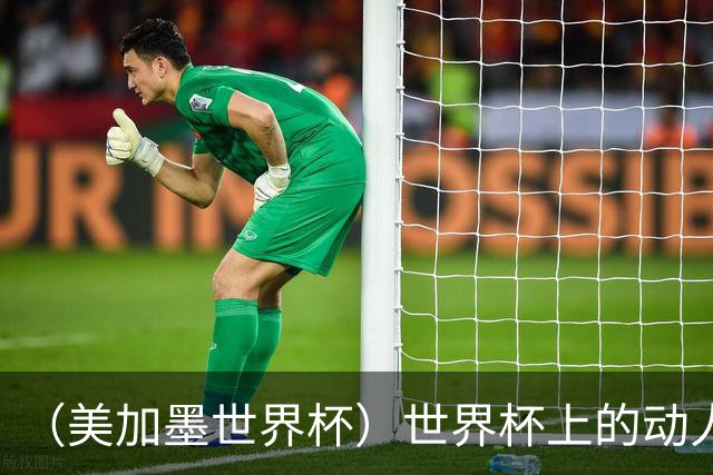 （美加墨世界杯）世界杯上的动人一幕：泪水、拥抱与跨越生死的致意