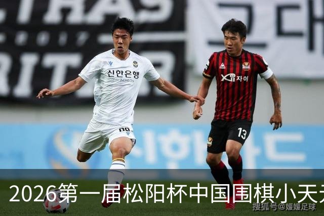2026第一届松阳杯中国围棋小天元赛补充通知